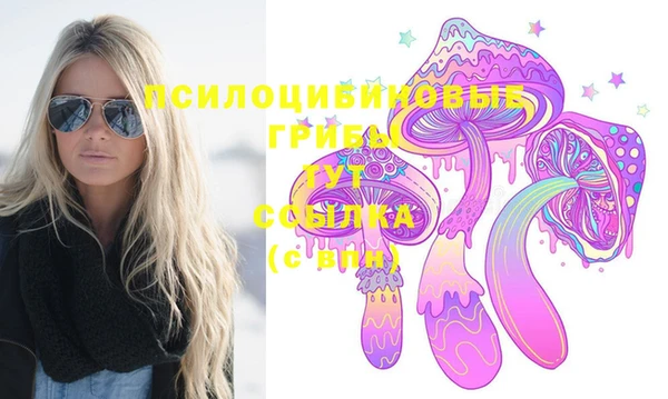 apvp Пролетарск