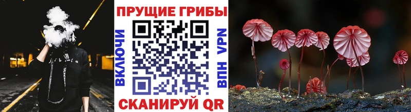 MEGA рабочий сайт  Азов  shop телеграм  Псилоцибиновые грибы Psilocybe 